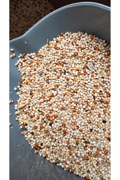 Gardenmix Garden Mix Muhabbet Kuşu Yemi (Kilo ile)