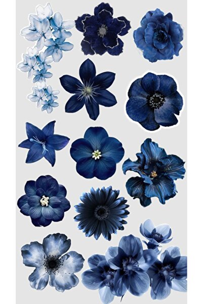 blanch Aesthetic Mini Sticker Seti – 12’lİ Ajanda Günlük Defter İçin Sticer Y...