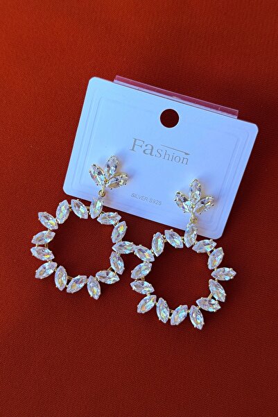 Marka Zircon Stone Circle Model Women's Earrings