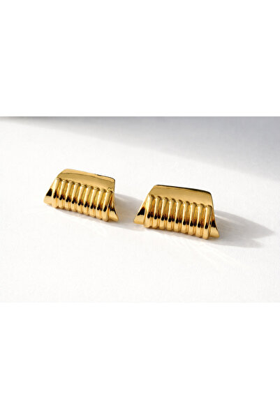 Vi store Steel Sinatra Earrings