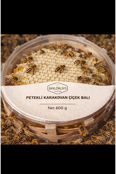 yöresel Balorjin Sepet Karakovan Petekli Çiçek Balı 600 GR