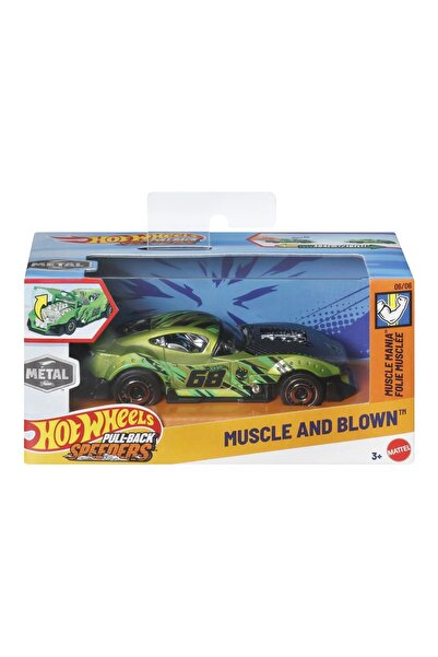 mattel Hot Wheels Mașină Metalică cu Mecanism Pull-Back, Seria Muscle și Musc...