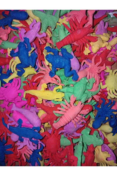 Cin Suda Büyüyen Karışık Hayvanlar