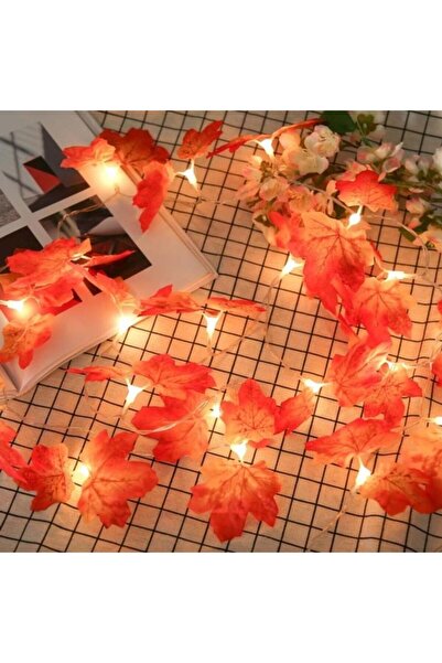 Greathings Jesenski koncept dekorativnog lišća Sa deznom traka LED noćne lampe
