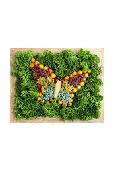 Eventissimi Tablou Licheni Stabilizati - ”Fluturas”, Multicolor, 18,5X22,5 CM