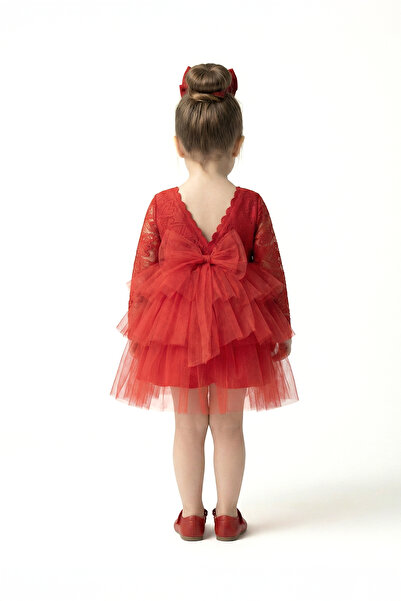 Baby Animals Rochie pentru fetițe Rochie pentru fete Tulle cu inimioare Petre...