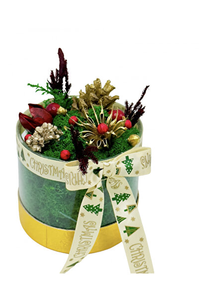 Eventissimi Mini aranjament de Craciun cu licheni si elemente naturale (Multi...