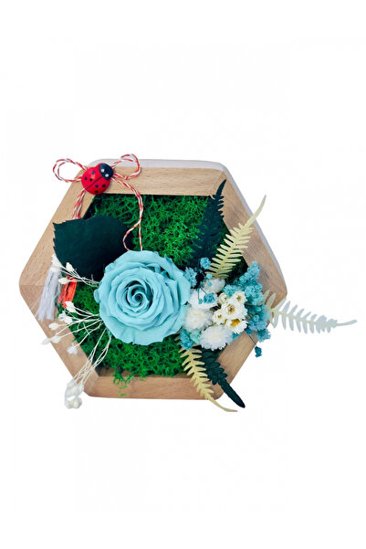 Eventissimi Aranjament floral hexagon cu licheni , mini roza si plante crioge...