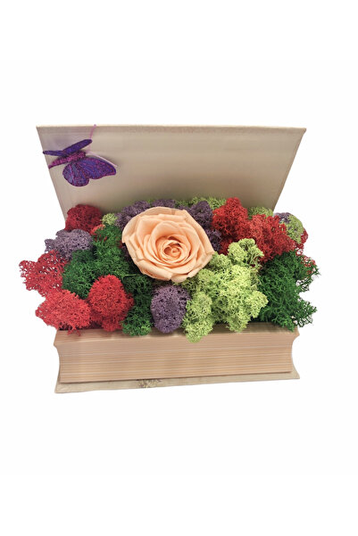 Eventissimi Aranjament floral, 14 cm, licheni stabilizați, plante criogenate,...