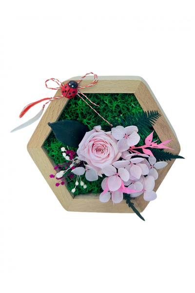 Eventissimi Aranjament floral hexagon cu licheni , mini roza si plante crioge...