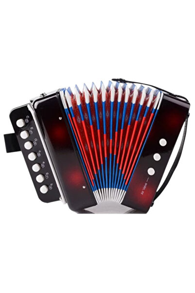 Krista Toy accordion for children, musical instrument without batteries, black