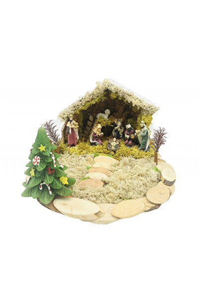 Eventissimi Floral arrangement, 18 cm, stabilized lichens, ceramic pot, beige