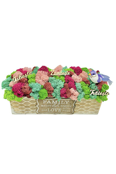 Eventissimi Aranjament floral, 11 cm, licheni stabilizați, vas ceramic, multi...