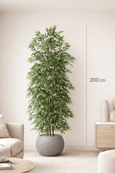 CENTRHOME 200cm tall bamboo tree in a round pot