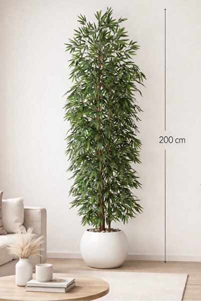 CENTRHOME An olive tree 200 cm tall in a round pot