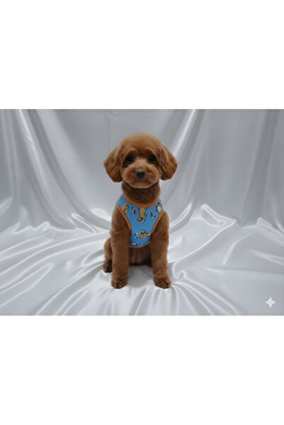 Patipin Cheerful Character Series Cat Dog Outfit - Blue Cartoon Character Pri...