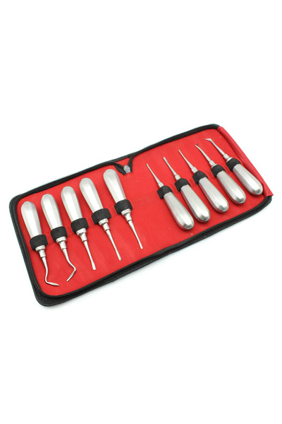 Choice 1set 10pcs/set Dental Elevator Set Stainless Steel Curved Root Lift El...