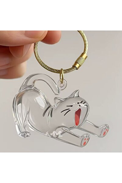 Choice Lazy Cat Rakol New Transparent Pet Hair Storage Box Cat Hair Storage C...