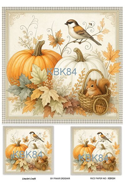 LİNEART KBK84 Kuş, Kabak Desenli 29*42 cm Pirinç Dekopaj
