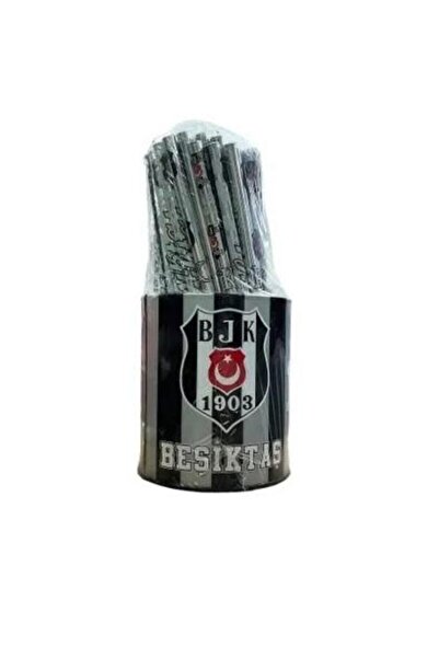 Timon Bjk Pencil Stand with 72 Pencils