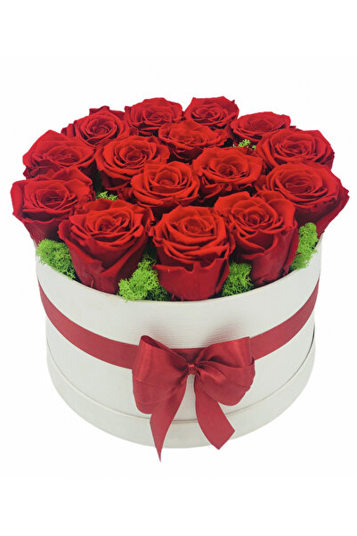 Eventissimi Aranjament floral, 16 cm, licheni stabilizați, plante criogenate,...