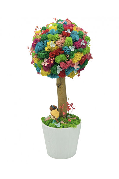 Eventissimi Aranjament floral, 36 cm, licheni stabilizați, plante criogenate ...