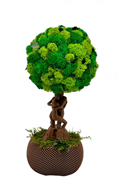 Eventissimi Floral arrangement, 30 cm, stabilized lichens, cryogenic plants, ...