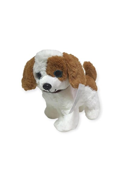 KIZILKAYA كلب أليف قطيفة ينبح ويبقى واقفًا