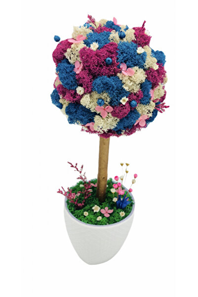 Eventissimi Floral arrangement, 36 cm, stabilized lichens, cryogenic plants, ...