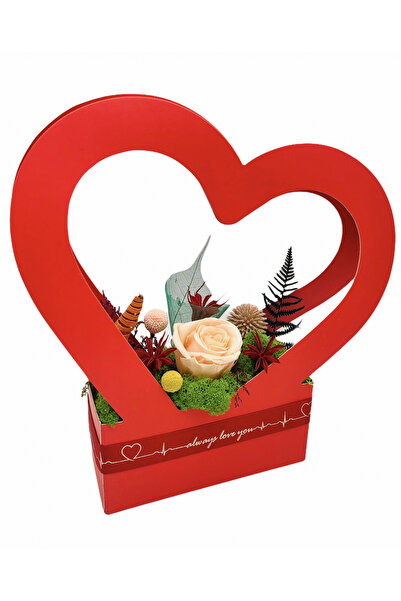 Eventissimi Aranjament floral, 31 cm, licheni stabilizați, plante criogenate ...