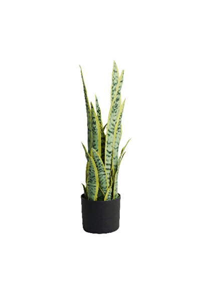 Generic وعاء صبار جلد النمر