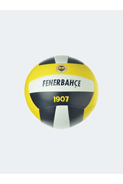 Fenerbahçe HIGHLINE VOLEYBOL TOPU NO: