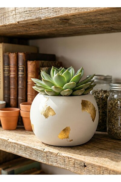 Art-ı Prime Dizayn Gold Varaklı Özel Tasarım Dekoratif Sukulent ve Kaktüs Sak...