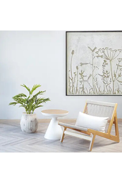 Generic Areca Palm Tree