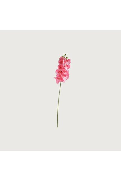 Generic Orchid Flower Stem