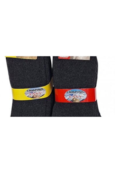 Ciucaleti Thick Wool Socks for Men Set of 3 Campina LN3N