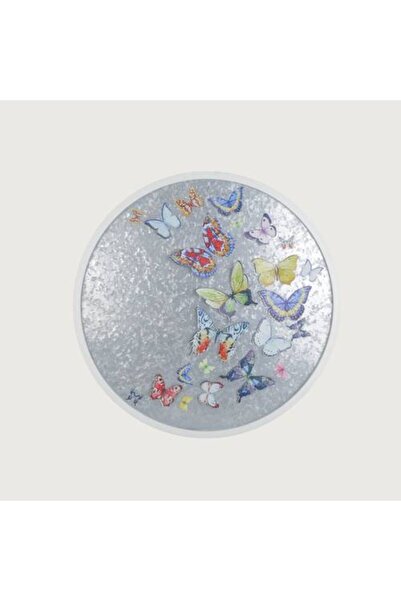 Generic Butterfly Wall Art