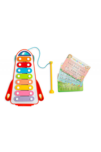 TOYZ by Caretero Toyz Rainbow Red 2in1 educational xylophone with 8 musical n...