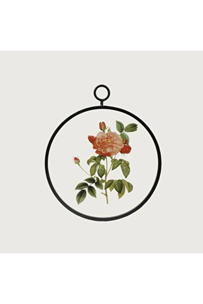 Generic Wall Art Rose