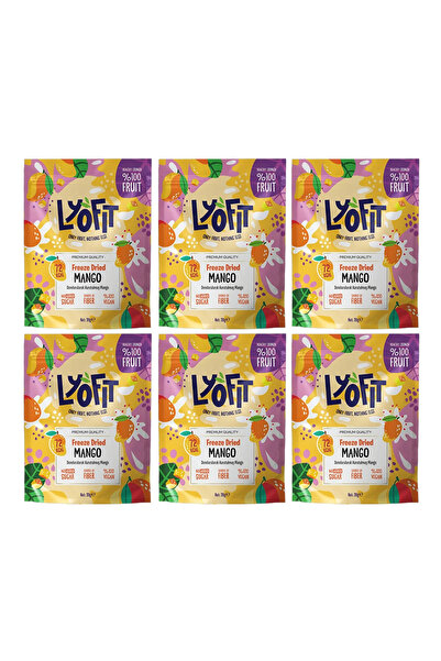 Lyofit Food Freeze Dried Mango 20g 6 Adet
