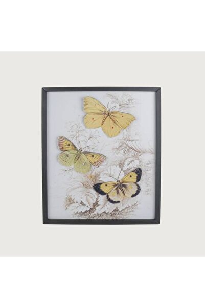 Generic Butterfly Wall Art