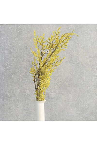 Generic Mugwort Plant Stem