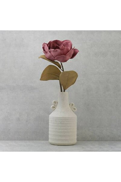 Generic Magnolia Flower