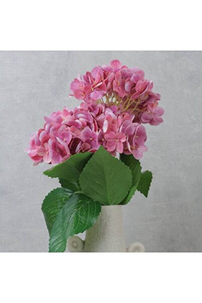 Generic Hydrangea Flower Stem