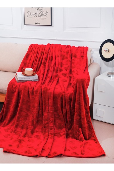 Casa de Vis Fluffy and Warm Blanket - 200x220 cm, Soft and Comfortable for Do...