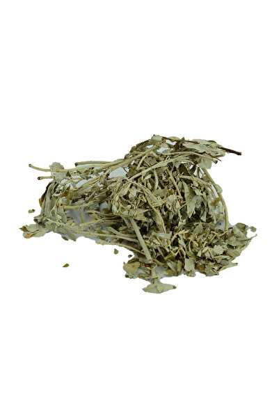 Mestore Mugwort Leaf Natural 100 Gr Package - Oem458-10824