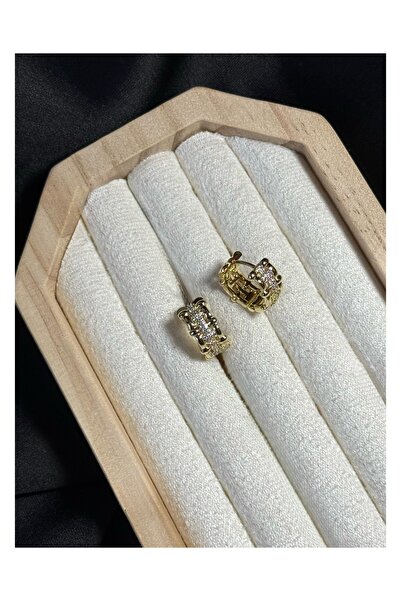 PALICE أقراط دائرية من الذهب والزركون من Xuping