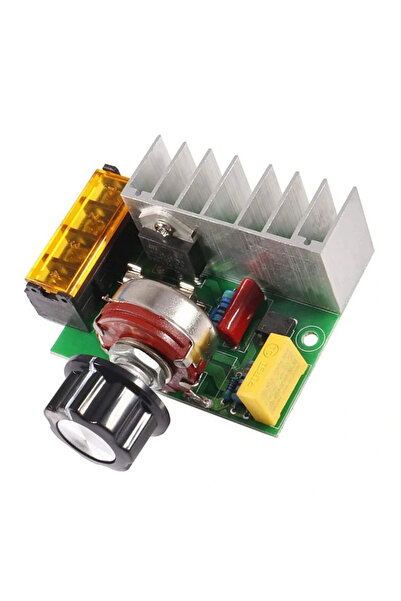 China 4000W 220V AC Voltaj Regülatörü Dimmer
