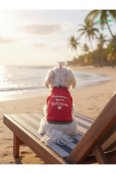 Gobo My Sweetheart Is My Cat and Dog Written Outfit–Cute Pet T-Shirt Dress,Di...