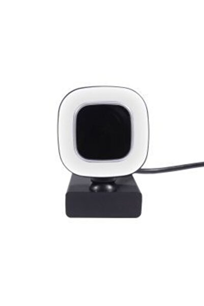 Well Cameră web 1080p cu microfon, H.264